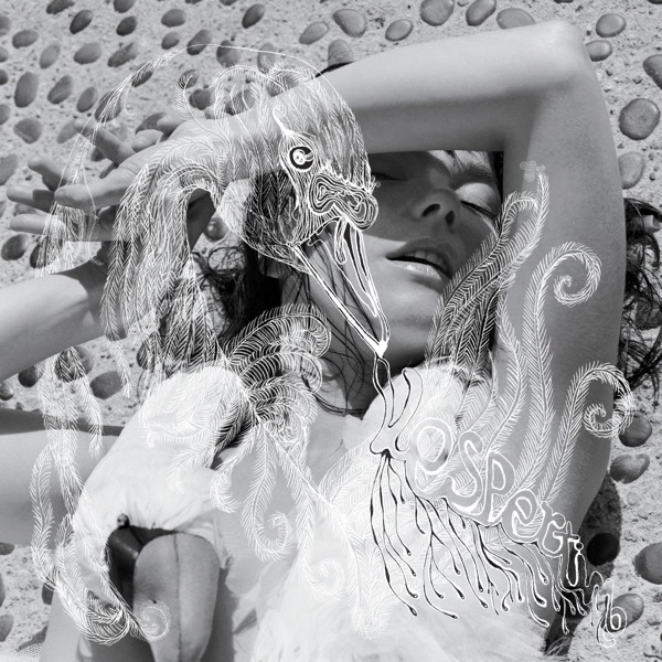 bjork vespertine